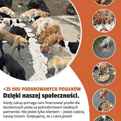Bransoletka - Niebiański Pył